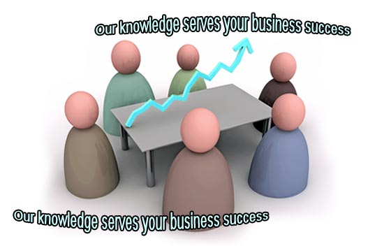 Business Consulting - Our knowledge serves your business success