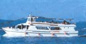 Excursion ships