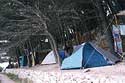 Camps