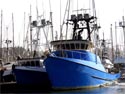 Fishing boats